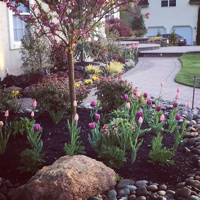 purple and pink flower bed