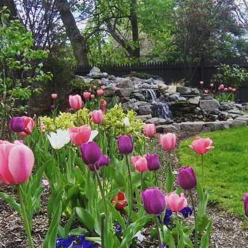 flowers and fountain