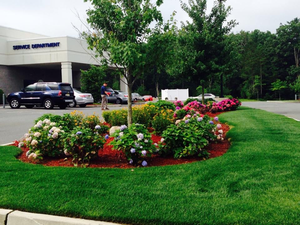 Commercial-landscaping-parking-lot-area