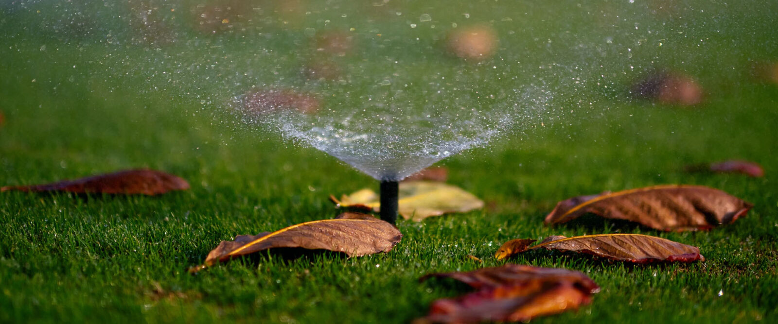 Sprinkler Systems Installation and Maintenance Eaise Design & Landscaping, Inc.