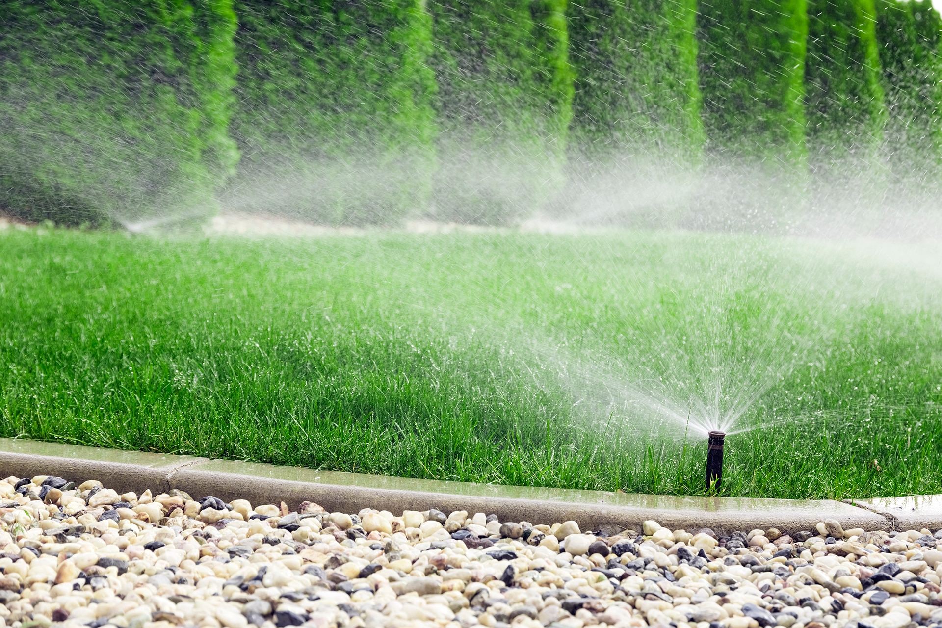 How to take care of your sprinkler system in South Jersey